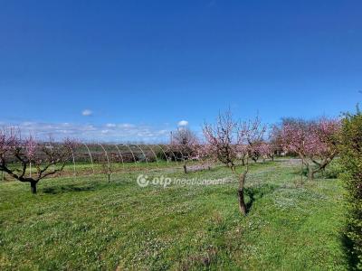 Eladó lakóövezeti telek Siófok