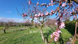 Eladó lakóövezeti telek Siófok