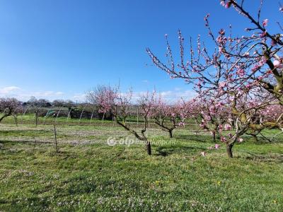 Eladó lakóövezeti telek Siófok
