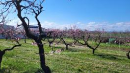 Eladó lakóövezeti telek Siófok