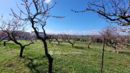 Eladó lakóövezeti telek Siófok