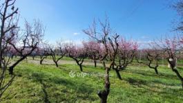 Eladó lakóövezeti telek Siófok