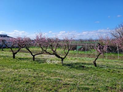 Eladó lakóövezeti telek Siófok