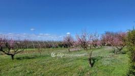 Eladó lakóövezeti telek Siófok