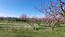 Eladó lakóövezeti telek Siófok