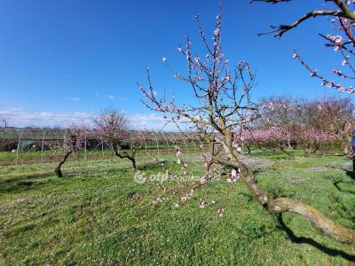 Eladó lakóövezeti telek Siófok