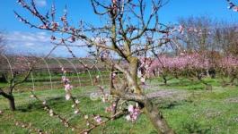 Eladó lakóövezeti telek Siófok