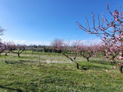 Eladó lakóövezeti telek Siófok