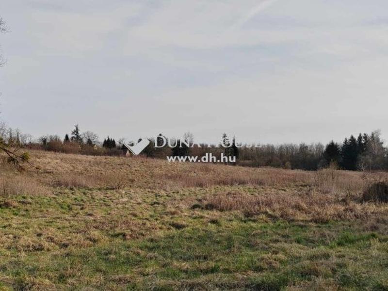 Eladó külterületi telek Nagykanizsa