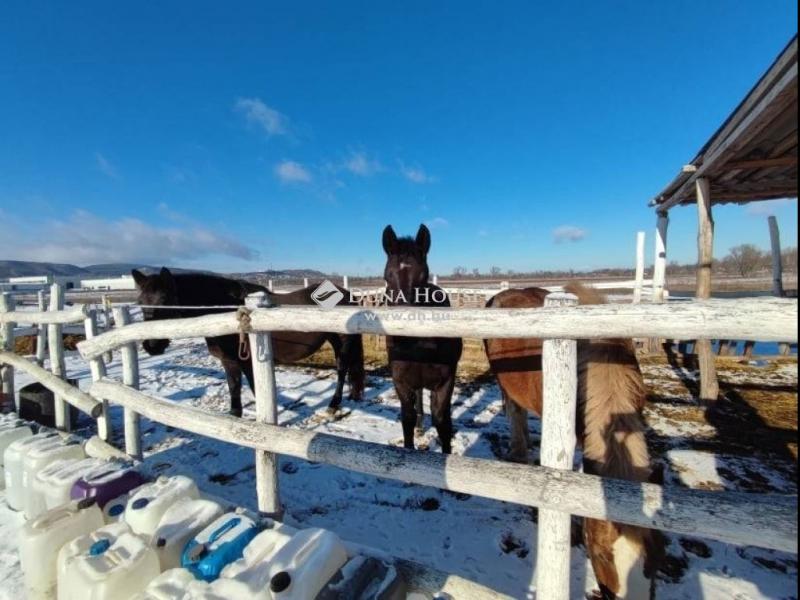 Eladó külterületi telek Dorog