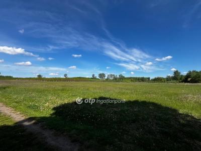 Eladó családi ház Debrecen