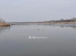 Eladó nyaraló Fadd