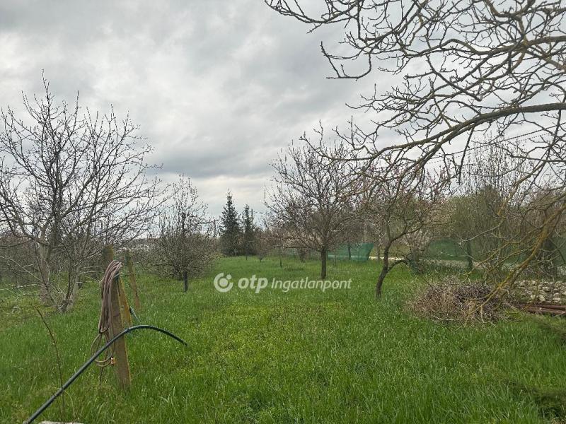 Eladó nyaraló Szentes