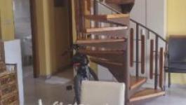 Eladó családi ház Harkány