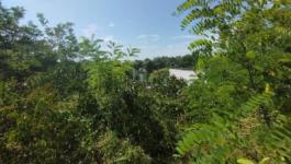 Eladó lakóövezeti telek Budapest