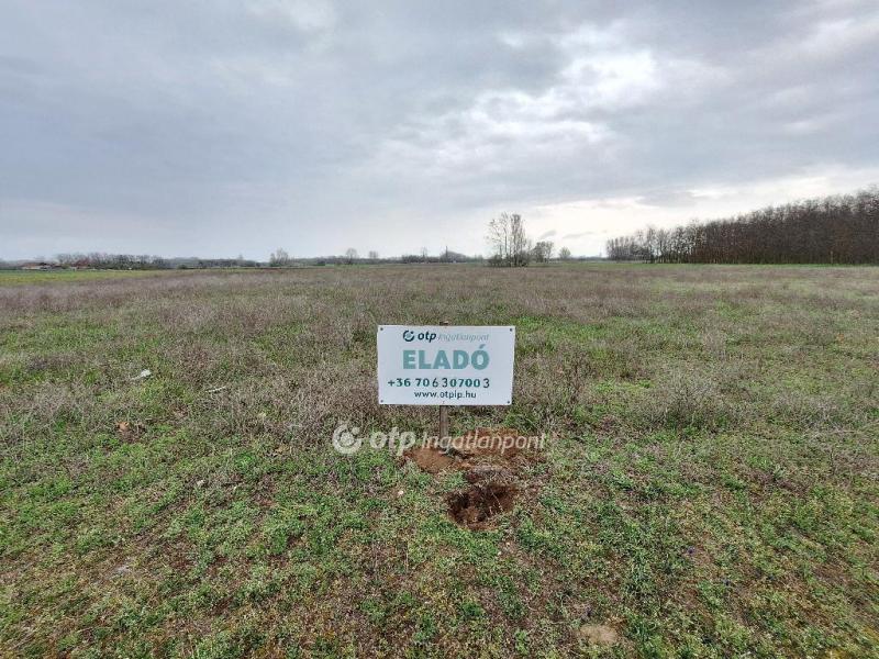 Eladó nyaraló Tiszakécske