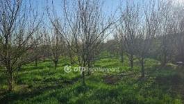 Eladó lakóövezeti telek Szilsárkány