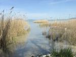 Eladó nyaraló Balatonmáriafürdő