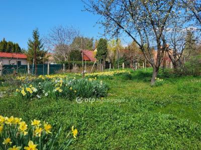 Eladó családi ház Siófok