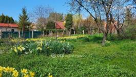 Eladó családi ház Siófok