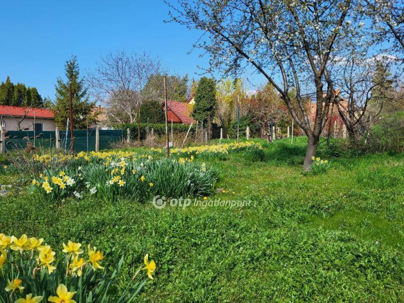 Eladó családi ház Siófok