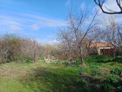 Eladó lakóövezeti telek Baja