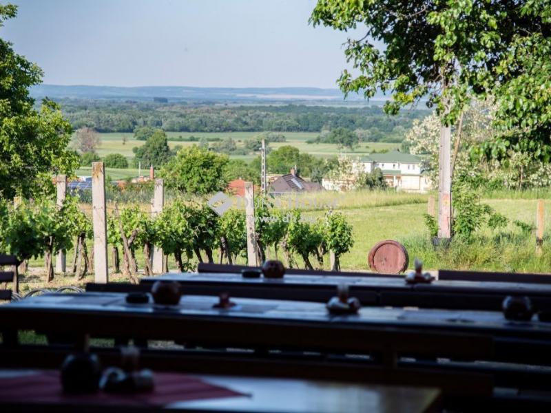 Eladó étterem, vendéglő Zalakaros