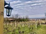 Eladó étterem, vendéglő Zalakaros