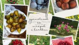 Eladó családi ház Balatonvilágos