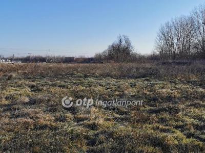 Eladó külterületi telek Csorna