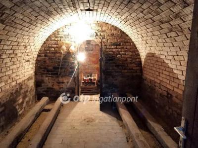 Eladó üdülőövezeti telek Tápszentmiklós