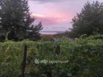 Eladó nyaraló Balatonfüred