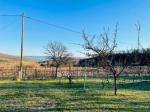 Eladó nyaraló Balatonfüred