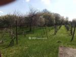 Eladó általános mezőgazdasági ingatlan Balatonfőkajár