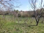Eladó általános mezőgazdasági ingatlan Balatonfőkajár