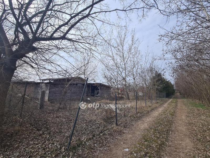 Eladó nyaraló Dunaharaszti