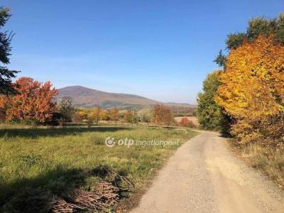 Eladó lakóövezeti telek - 2600 Vác