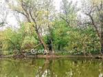 Eladó üdülőövezeti telek Győr