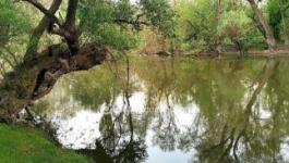 Eladó üdülőövezeti telek Győr