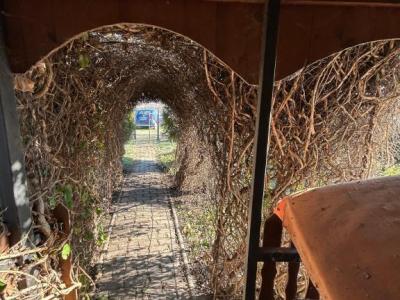 Eladó nyaraló Berettyóújfalu