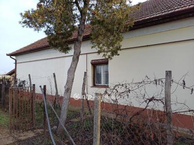 Eladó ikerház Csanytelek