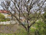 Eladó ikerház Budapest
