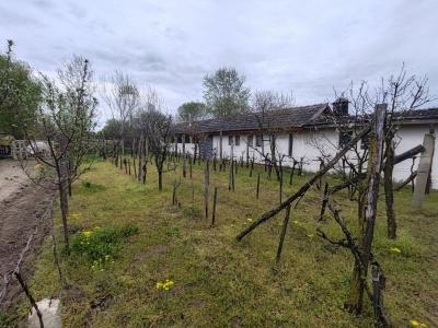 Eladó mezőgazdasági Csongrád