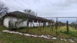 Eladó mezőgazdasági Csongrád