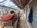 Eladó mezőgazdasági Csongrád