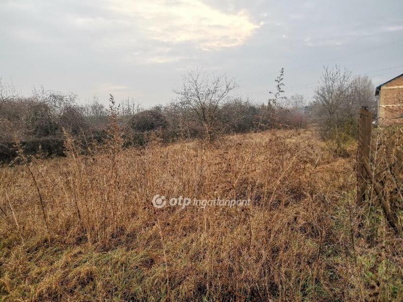 Eladó külterületi telek Szigetszentmiklós