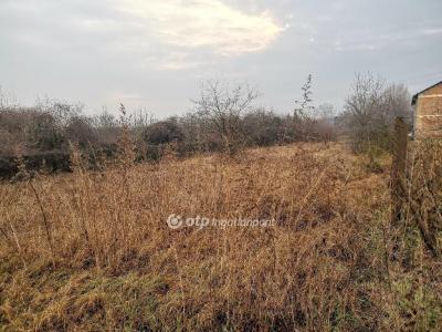 Eladó külterületi telek Szigetszentmiklós