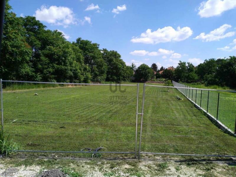 Eladó lakóövezeti telek Ráckeve