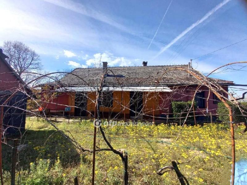 Eladó tanya Csongrád