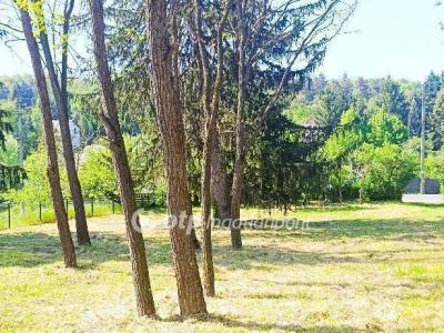 Eladó lakóövezeti telek Győrújbarát